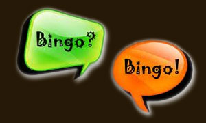 Bingo Is All About The Chat