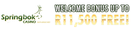 R11'500 Welcome Bonus At Springbok Casino